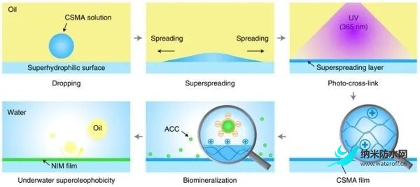 科研人员实现水下透明且坚固的超疏油薄膜快速制备1.jpg