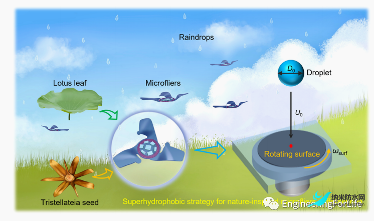 超疏水策略！或将实现微型飞行器在雨天稳定航行1.png