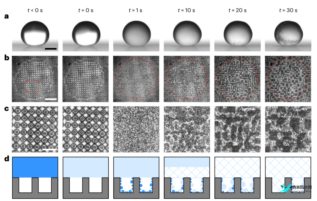 Nature Physics-超疏水表面6.png