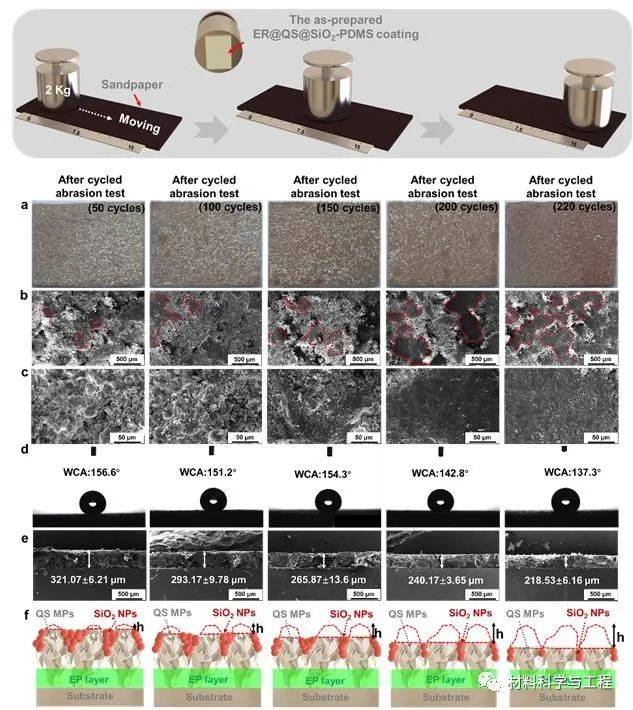 双尺度颗粒构建稳定超疏水复合涂层3.jpeg