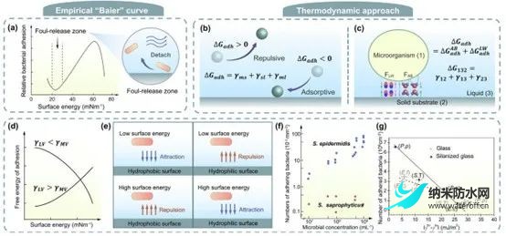 超疏水表面与抗微生物感染之间的关系5.jpg