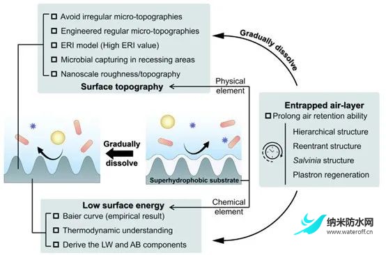 超疏水表面与抗微生物感染之间的关系6.jpg
