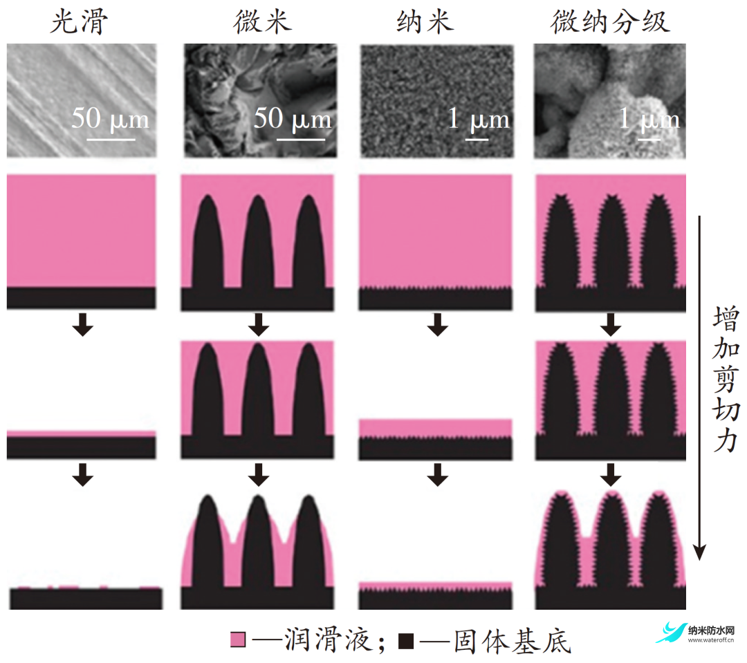 超滑氟硅涂层研究进展4.png