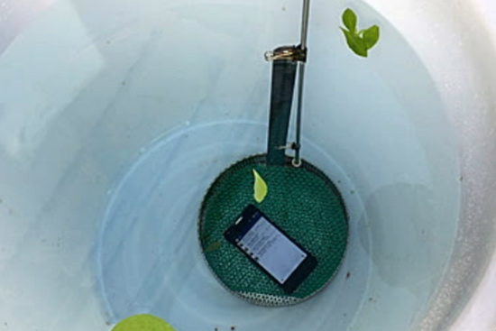 手机 50cm 5min 纳米防水测试