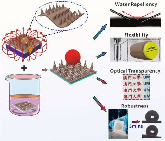 可拉伸、半透明及耐用的超疏水柔性薄膜的制备11.png
