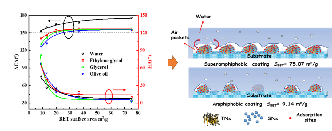 光催化超双疏涂层及其表面微纳结构对双疏性能的影响2.png