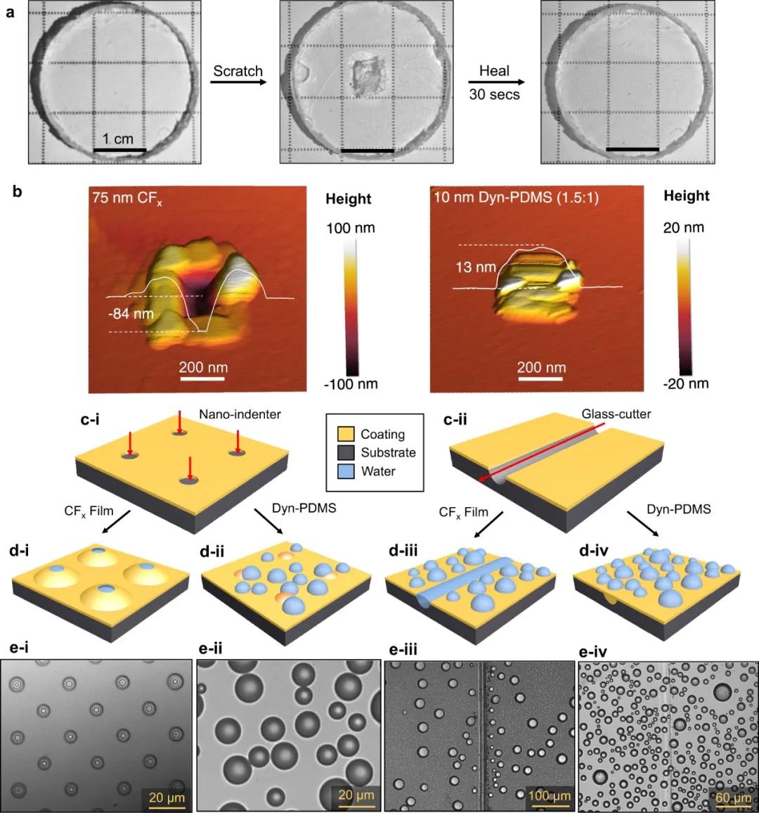 10nm!史上最薄完全不含氟的疏水自修复涂层3.jpg 10nm!史上最薄完全不含氟的疏水自修复涂层3.jpg